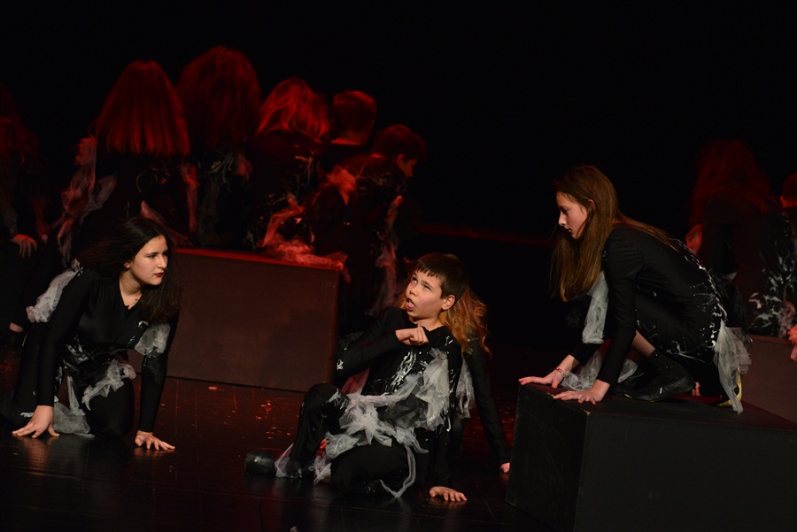 Premijera predstave “U sjeni” udruge “Igrajmo se” Premijera predstave “U sjeni” udruge “Igrajmo se”