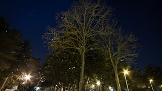 Noćni đir po Višnjiku, Foto: Anđelo Virag