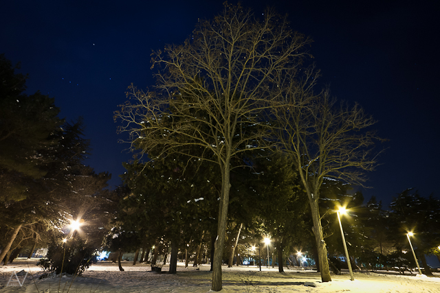 Noćni đir po Višnjiku, Foto: Anđelo Virag