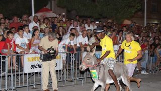 Tisno: 6. Međunarona “Trka tovarov”, Foto: Edin Kadić Tisno: 6. Međunarona “Trka tovarov”, Foto: Edin Kadić