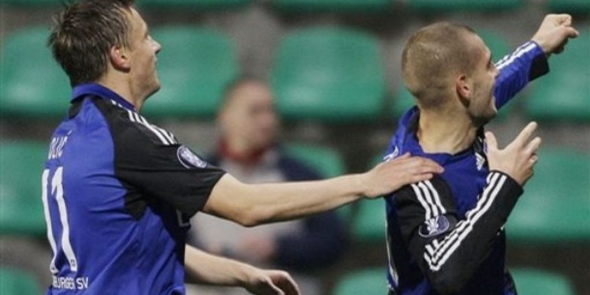 Ivica Olić i Mladen Petrić (Foto:AP Photo)