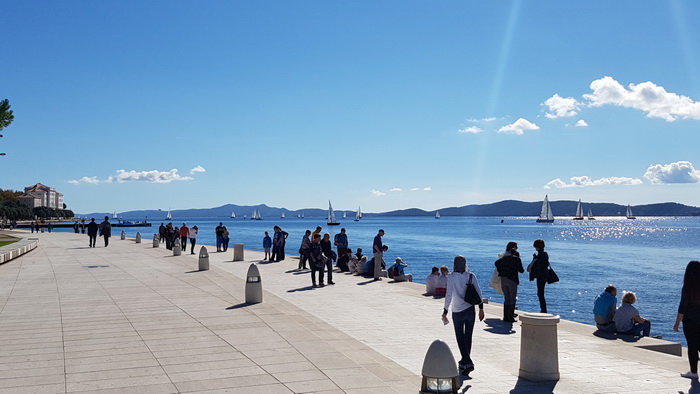 Zadarska Koka 2016. 22. listopada 2016. Foto: Mladen Malik Zadarska Koka 2016. 22. listopada 2016. Foto: Mladen Malik