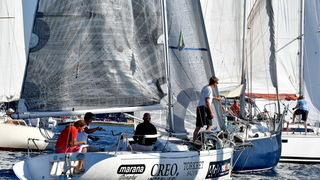 Sva lica “Zadarske koke” Sva lica “Zadarske koke”