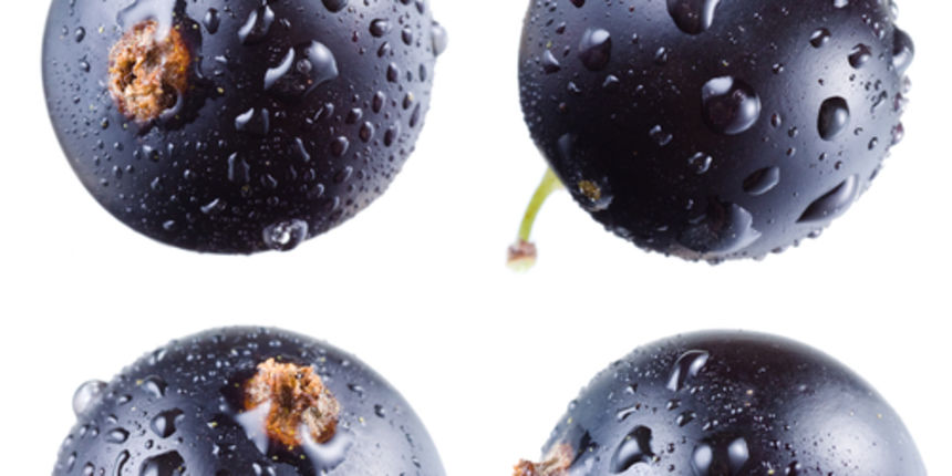 Crne grožđice pobjeđuju simptome astme (Metro-portal.hr) Crne grožđice pobjeđuju simptome astme (Metro-portal.hr)