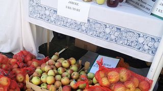 Posjetili smo manifestaciju Jesen u Lici Posjetili smo manifestaciju Jesen u Lici