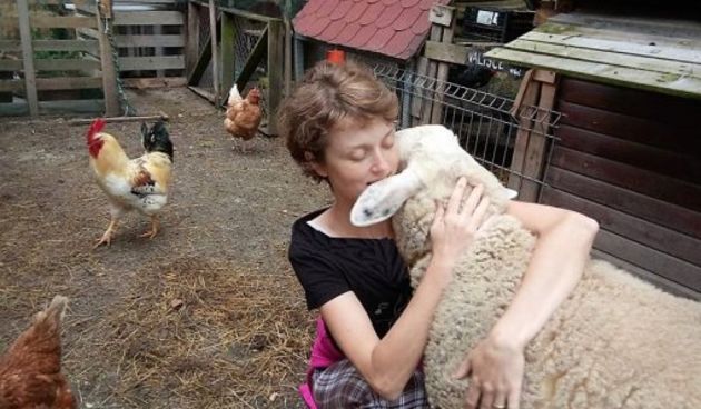 Spašene životinje na ZeGeVege festivalu