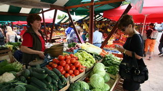 Image 1203811 (auto)