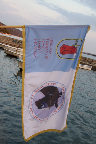 Image 1088985 (auto)