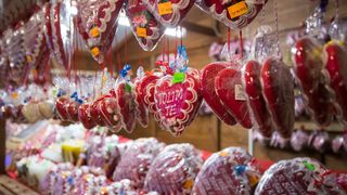 Još raskošnije izdanje: pogledajte kako izgleda Božićna priča obitelji Salaj gdje je ove godine zasjalo rekordnih 2.5 milijuna lampica