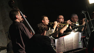 Tribute to Swing 2009. (foto: Marin Gospić)