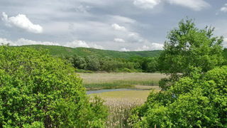 Odmor za dušu u ljepoti prirode by L. Kvarantan