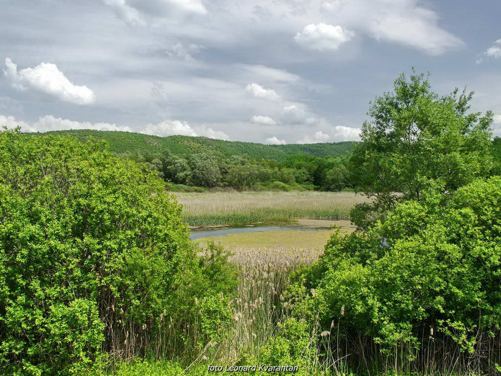 Odmor za dušu u ljepoti prirode by L. Kvarantan