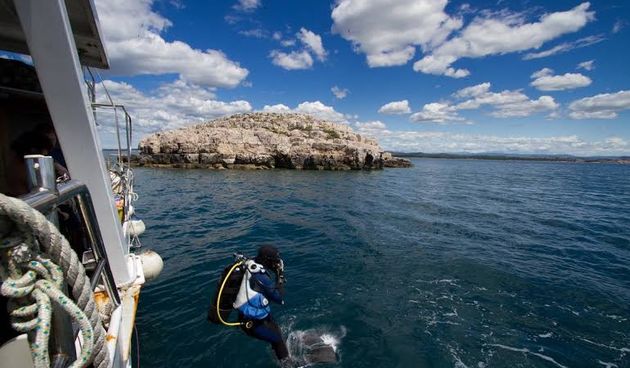 arheološko istraživanje brodoloma kod Gnalića