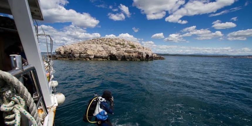 arheološko istraživanje brodoloma kod Gnalića