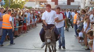 Utrka magaraca u Posedarju, Foto: Josip Prskalo Utrka magaraca u Posedarju, Foto: Josip Prskalo