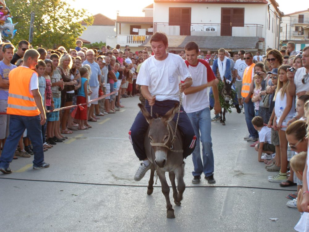 Utrka magaraca u Posedarju, Foto: Josip Prskalo Utrka magaraca u Posedarju, Foto: Josip Prskalo