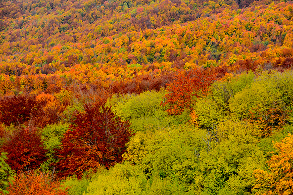 Sjeverni Velebit i Lika u jesen Sjeverni Velebit i Lika u jesen