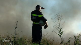 Biograd, 200709.
Na podrucju Biograda u poslijepodnevnim satima izbio je veliki pozar koji gasi veliki broj pripadnika vatrogasnih snaga sa zadarskog podrucja. Pozar je izbio oko 16 sati na deponiji otpada Bastijun povise Biograda. Veliki problem predstav