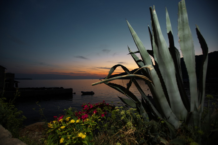 Vis 210812.
Otok Vis jedan je od najudaljenijih hrvatskih otoka koji broji nesto manje od 3 i pol tisuce stanovnika.No u vrijeme turisticke sezone otok postaje omiljena destinacija turistima od kojih je tradicionalno u kolovozu najvise Talijana.Vis ima bo