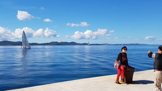 Zadarska Koka 2016. 22. listopada 2016. Foto: Mladen Malik Zadarska Koka 2016. 22. listopada 2016. Foto: Mladen Malik