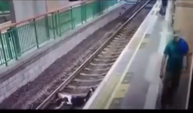 Željeznica, Hong Kong