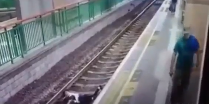 Željeznica, Hong Kong Željeznica, Hong Kong