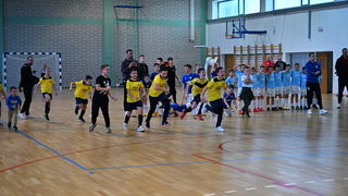 Cataleya Indoor Cup Cataleya Indoor Cup
