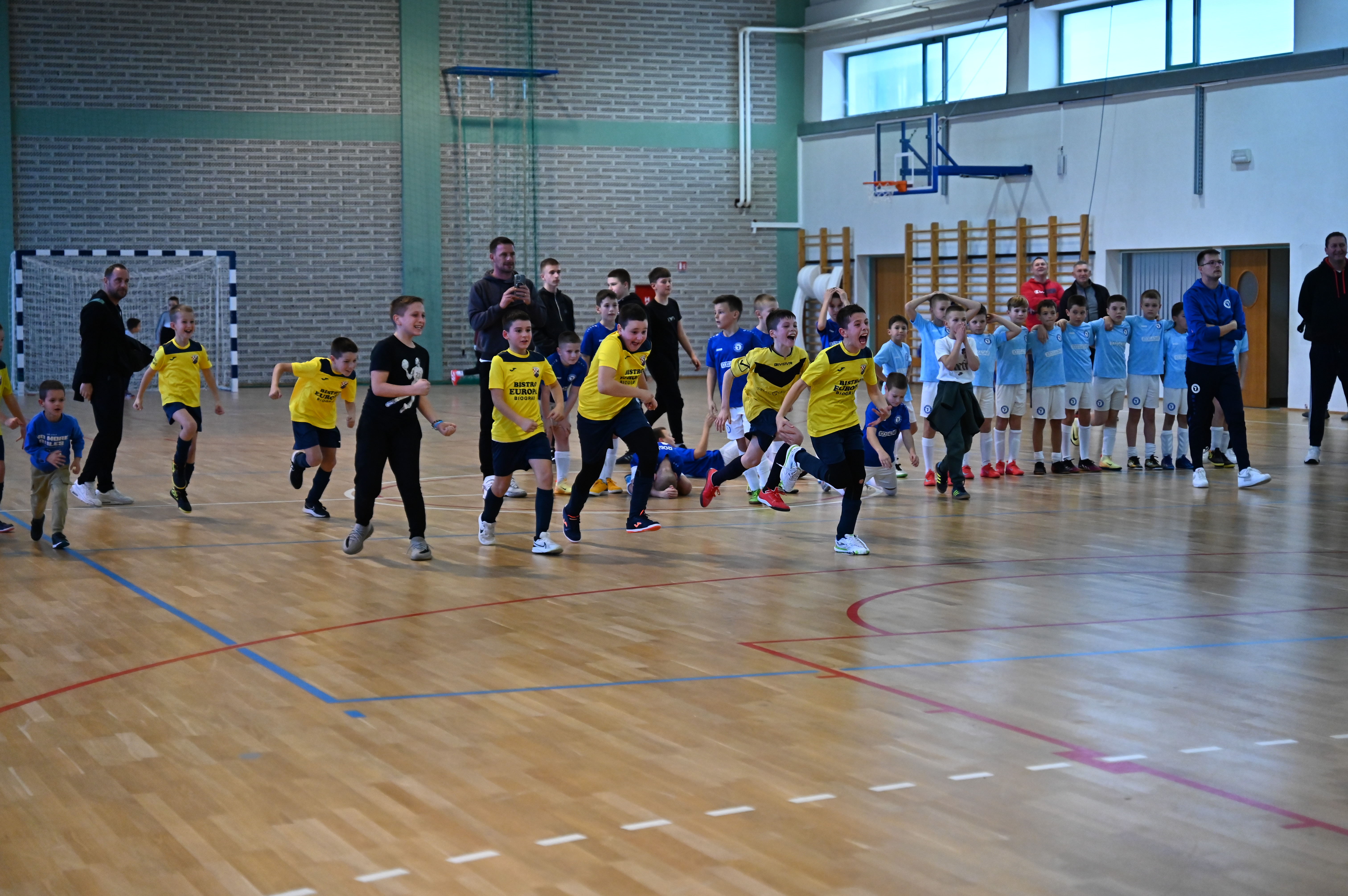 Cataleya Indoor Cup Cataleya Indoor Cup