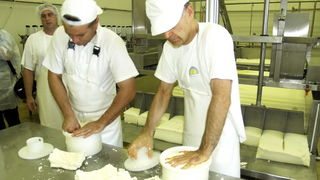 Otvaranje novog pogona Paske sirane