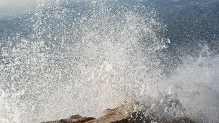 Image 1177855 (auto)