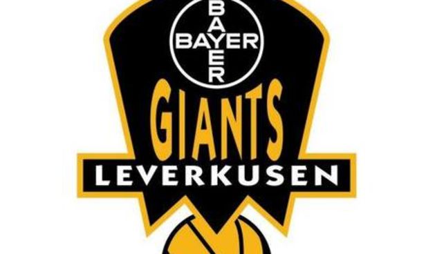 Bayer Leverkusen Logo (Foto: sportgate.de)