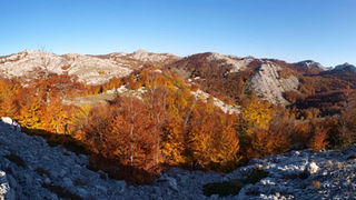Velebit, Tulove grede, foto: V. Penga Velebit, Tulove grede, foto: V. Penga