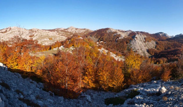 Velebit, Tulove grede, foto: V. Penga
