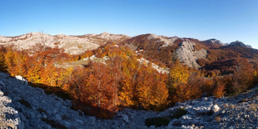 Velebit, Tulove grede, foto: V. Penga Velebit, Tulove grede, foto: V. Penga