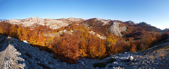 Velebit, Tulove grede, foto: V. Penga Velebit, Tulove grede, foto: V. Penga