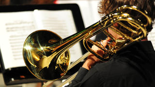 Koncert Strasbourg Youth Symphony orchestra, foto: Nenad Marčev Koncert Strasbourg Youth Symphony orchestra, foto: Nenad Marčev