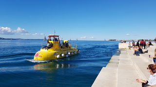 Zadarska Koka 2016. 22. listopada 2016. Foto: Mladen Malik Zadarska Koka 2016. 22. listopada 2016. Foto: Mladen Malik