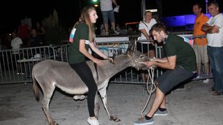 10. međunarodna trka tovarov Tisno 2015