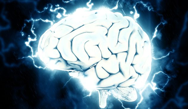 Mozak, inteligencija