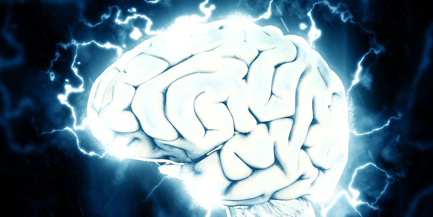 Mozak, inteligencija Mozak, inteligencija