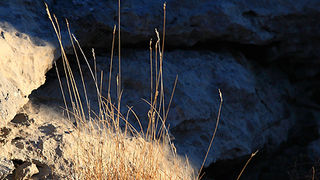 Uspon na Bojin Kuk i pogled na Italiju, Foto: Leo Banić Uspon na Bojin Kuk i pogled na Italiju, Foto: Leo Banić