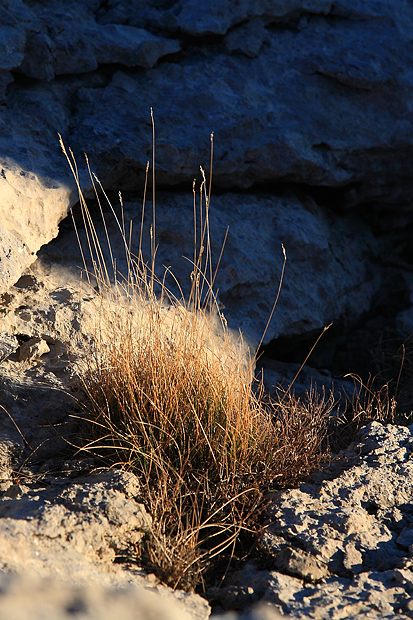 Uspon na Bojin Kuk i pogled na Italiju, Foto: Leo Banić Uspon na Bojin Kuk i pogled na Italiju, Foto: Leo Banić