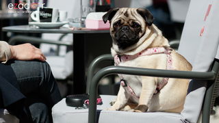 Đir po gradu, subotnja špica 30. ožujka 2019. Đir po gradu, subotnja špica 30. ožujka 2019.