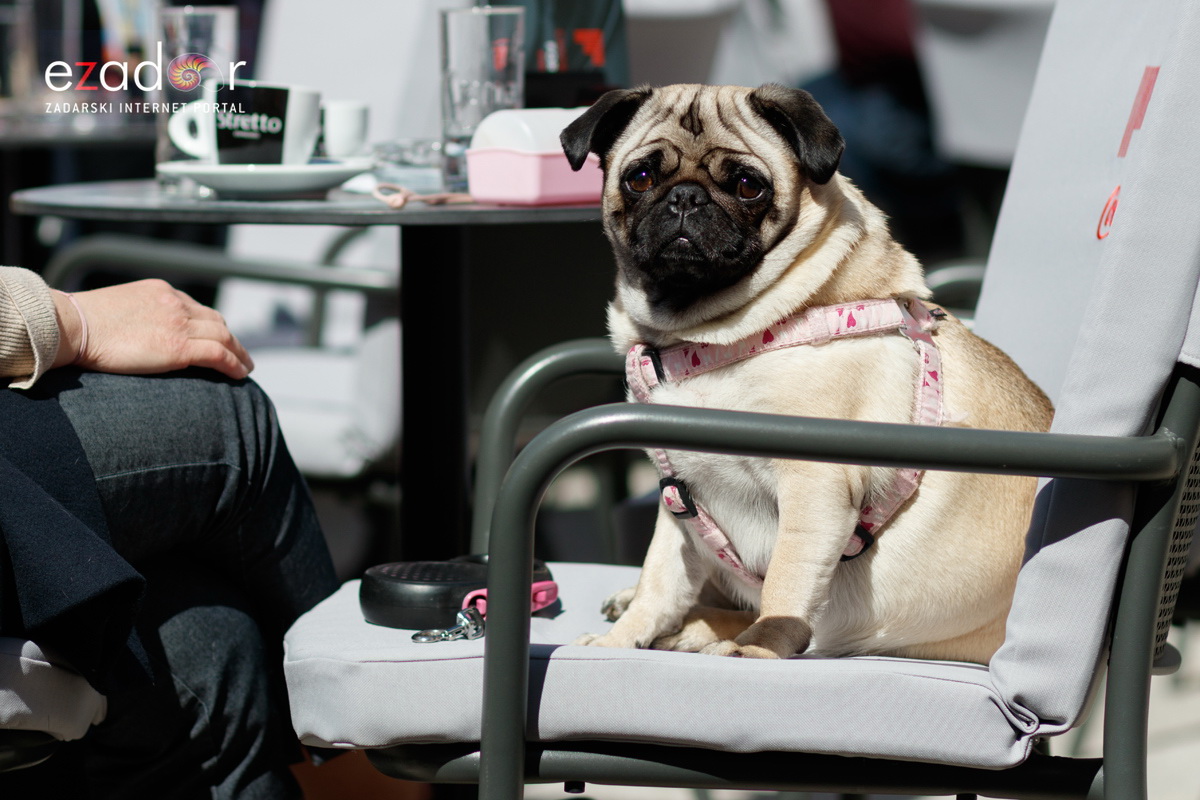 Đir po gradu, subotnja špica 30. ožujka 2019. Đir po gradu, subotnja špica 30. ožujka 2019.
