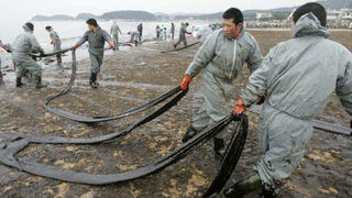 Image 1196803 (auto) Image 1196803 (auto)