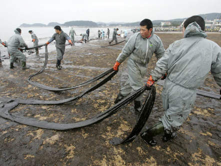 Image 1196803 (auto) Image 1196803 (auto)