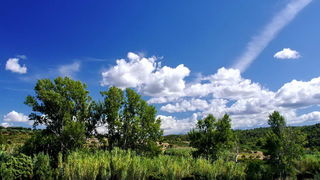 Sličice s Paga i Tulovih greda