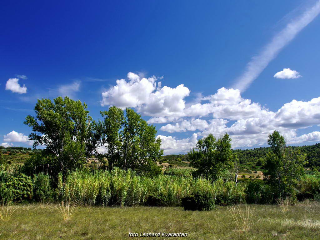 Sličice s Paga i Tulovih greda