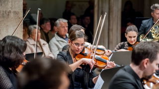 Stefan Milenković i Zadarski komorni orkestar u katedrali sv. Stošije