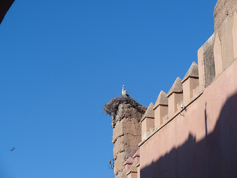 Skitnja Casablancom, foto: Pero Šindija